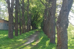 2018-04-22 Nowe Miasto - pałac (21)