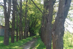 2018-04-22 Nowe Miasto - pałac (22)