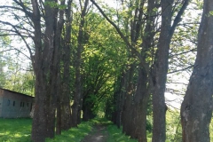 2018-04-22 Nowe Miasto - pałac (23)