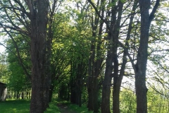 2018-04-22 Nowe Miasto - pałac (24)