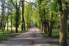 2018-04-22 Nowe Miasto - pałac (28)