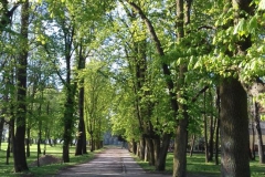 2018-04-22 Nowe Miasto - pałac (29)