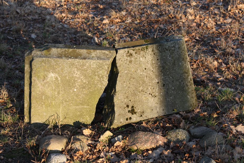 2019-02-18 Prusy - cm. z I wojny światowej (42)