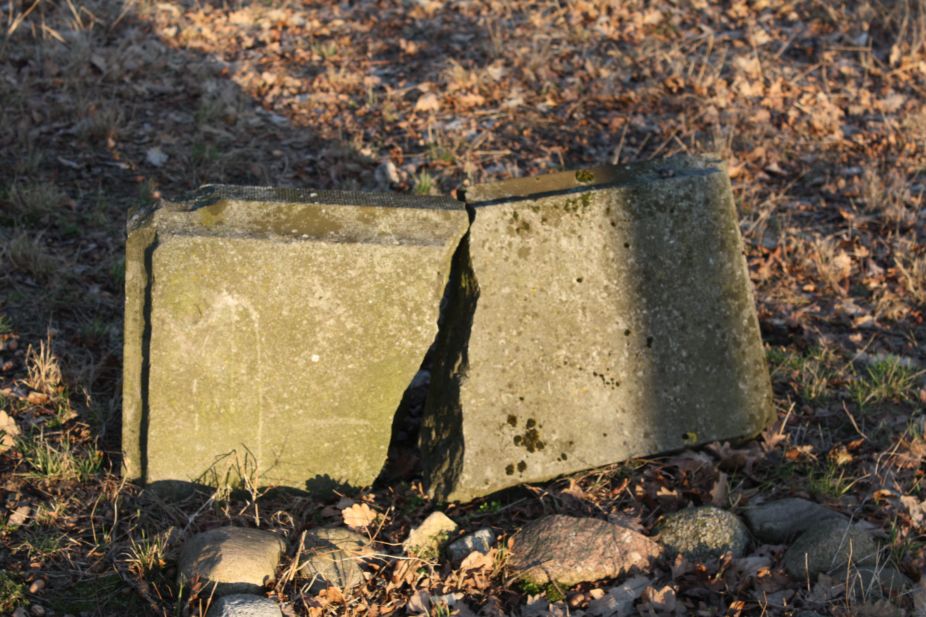 2019-02-18 Prusy - cm. z I wojny światowej (43)