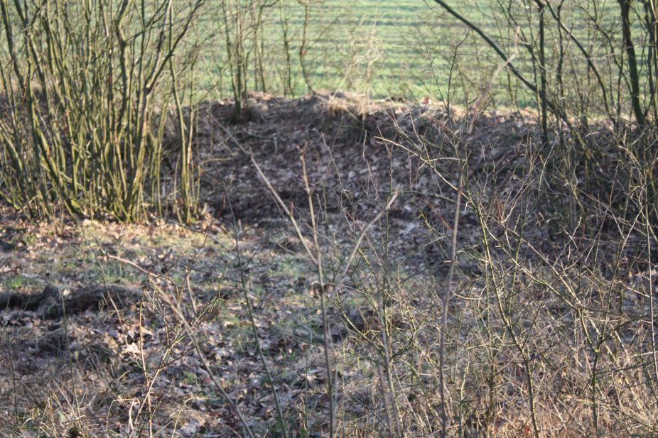 2019-02-18 Prusy - cm. z I wojny światowej (55)