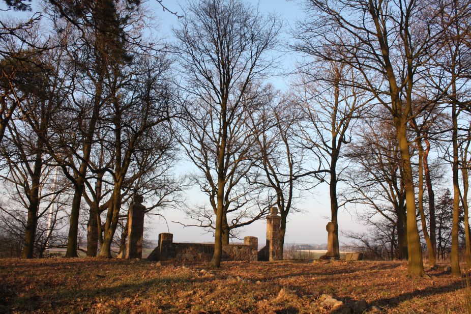 2019-02-18 Prusy - cm. z I wojny światowej (57)