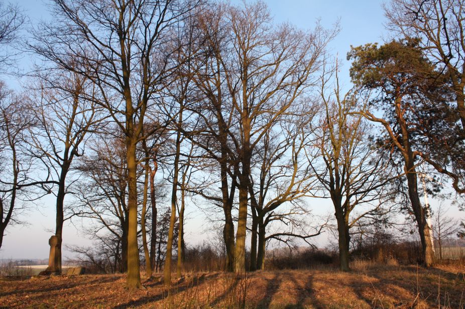 2019-02-18 Prusy - cm. z I wojny światowej (58)