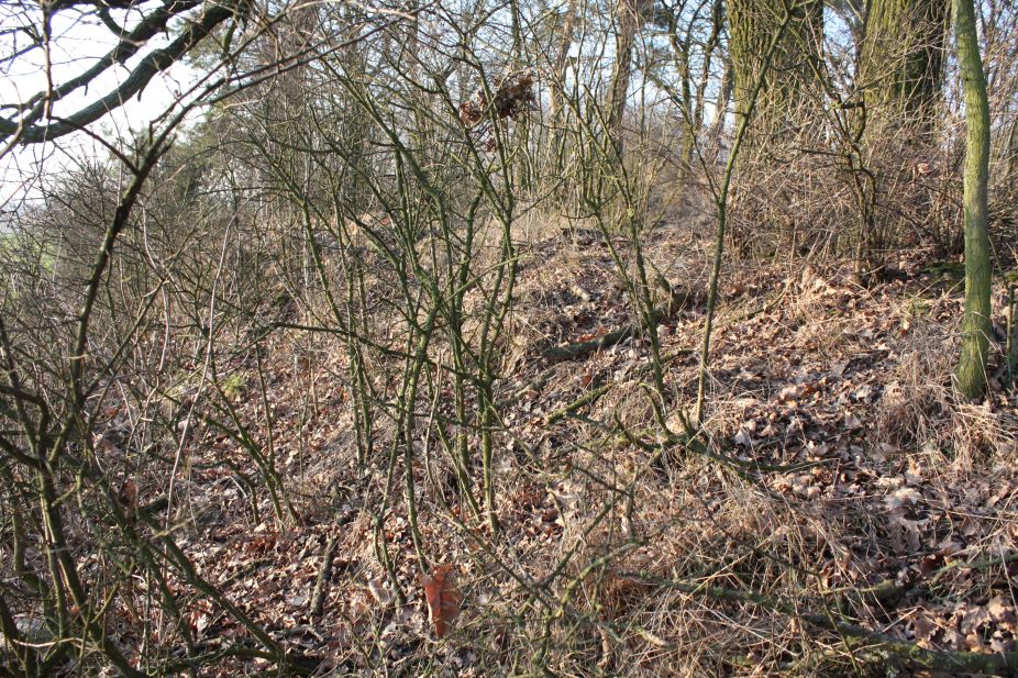 2019-02-18 Prusy - cm. z I wojny światowej (59)