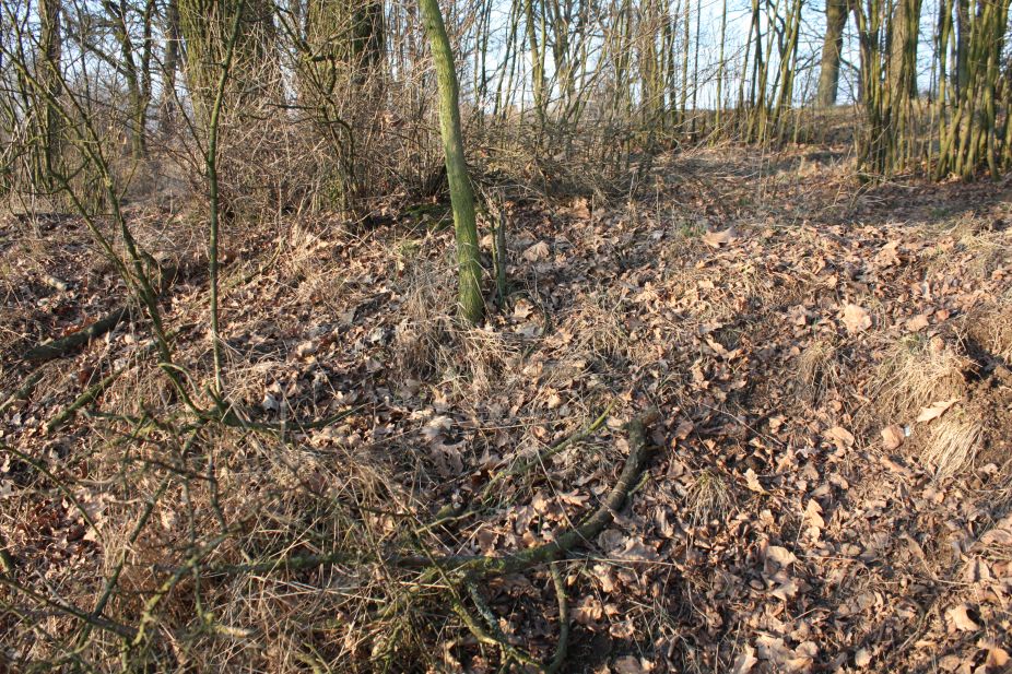 2019-02-18 Prusy - cm. z I wojny światowej (60)