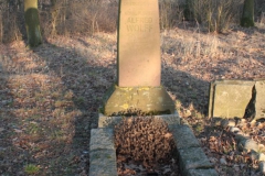 2019-02-18 Prusy - cm. z I wojny światowej (32)