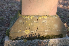 2019-02-18 Prusy - cm. z I wojny światowej (37)