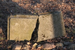 2019-02-18 Prusy - cm. z I wojny światowej (40)