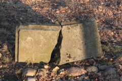 2019-02-18 Prusy - cm. z I wojny światowej (41)