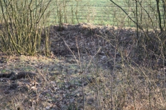 2019-02-18 Prusy - cm. z I wojny światowej (55)