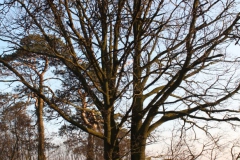 2019-02-18 Prusy - cm. z I wojny światowej (56)