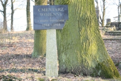 2019-02-18 Prusy - cm. z I wojny światowej (6)