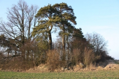 2019-02-18 Prusy - cm. z I wojny światowej (61)