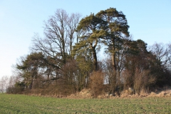 2019-02-18 Prusy - cm. z I wojny światowej (62)