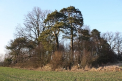 2019-02-18 Prusy - cm. z I wojny światowej (63)