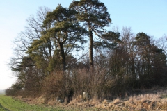 2019-02-18 Prusy - cm. z I wojny światowej (64)