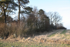 2019-02-18 Prusy - cm. z I wojny światowej (65)