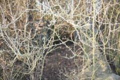 2019-02-18 Prusy - cm. z I wojny światowej (66)