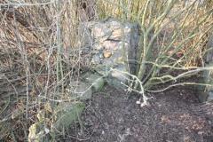 2019-02-18 Prusy - cm. z I wojny światowej (67)