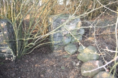 2019-02-18 Prusy - cm. z I wojny światowej (68)