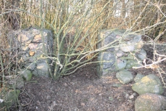 2019-02-18 Prusy - cm. z I wojny światowej (69)