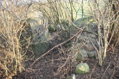 2019-02-18 Prusy - cm. z I wojny światowej (71)