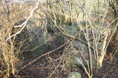 2019-02-18 Prusy - cm. z I wojny światowej (72)