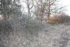 2019-02-18 Prusy - cm. z I wojny światowej (73)