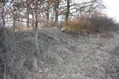 2019-02-18 Prusy - cm. z I wojny światowej (74)