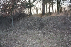 2019-02-18 Prusy - cm. z I wojny światowej (75)