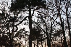 2019-02-18 Prusy - cm. z I wojny światowej (76)