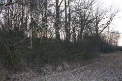 2019-02-18 Prusy - cm. z I wojny światowej (77)