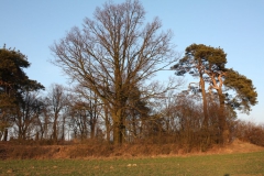 2019-02-18 Prusy - cm. z I wojny światowej (78)