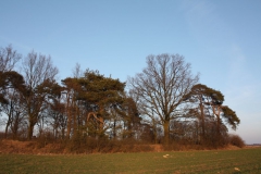 2019-02-18 Prusy - cm. z I wojny światowej (79)