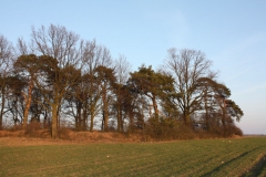 2019-02-18 Prusy - cm. z I wojny światowej (80)