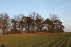 2019-02-18 Prusy - cm. z I wojny światowej (81)