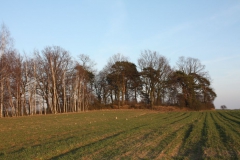 2019-02-18 Prusy - cm. z I wojny światowej (82)