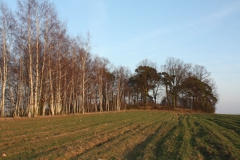 2019-02-18 Prusy - cm. z I wojny światowej (83)