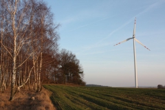 2019-02-18 Prusy - cm. z I wojny światowej (84)