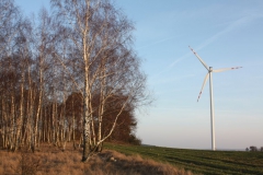 2019-02-18 Prusy - cm. z I wojny światowej (85)