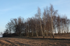 2019-02-18 Prusy - cm. z I wojny światowej (87)