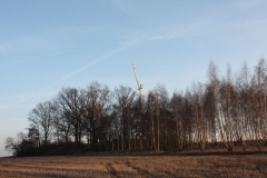 2019-02-18 Prusy - cm. z I wojny światowej (88)