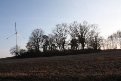 2019-02-18 Prusy - cm. z I wojny światowej (93)