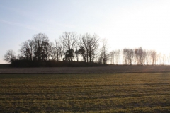 2019-02-18 Prusy - cm. z I wojny światowej (94)