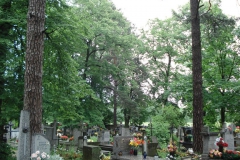 2007-06-03 Radziejwice - cmentarz parafialny (18)