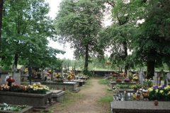 2007-06-03 Radziejwice - cmentarz parafialny (20)